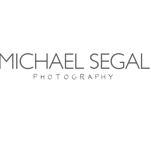 Michael Segal