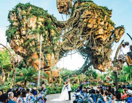 Disney’s Fairy Tale Weddings and Honeymoons