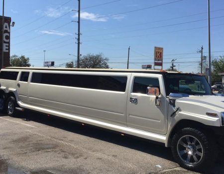 ACE Party Bus & Limos