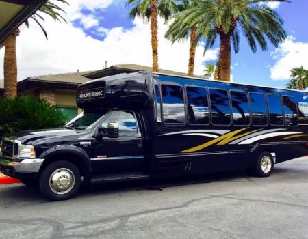 Nevada Party Bus