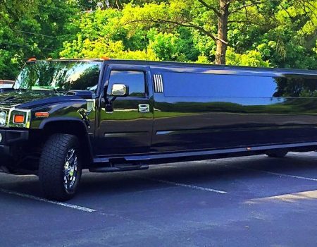 Elite Limousine of North Carolina
