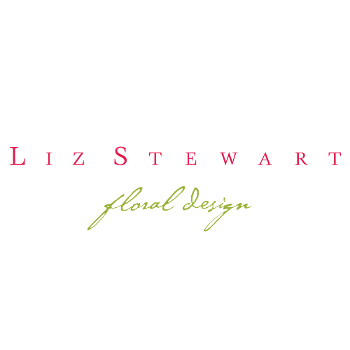 Liz Stewart