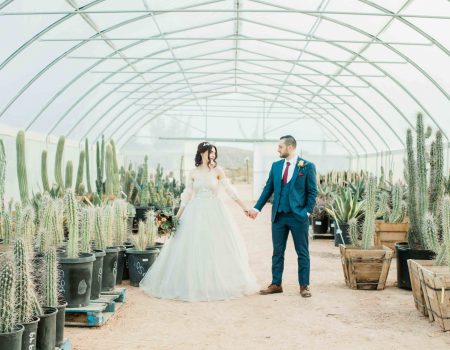 Cactus Collective Weddings