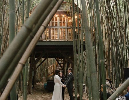 Atlanta Alpaca Treehouse in the Bamboo Forest