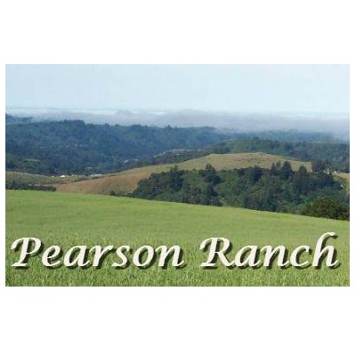 Pearson Ranch Team 