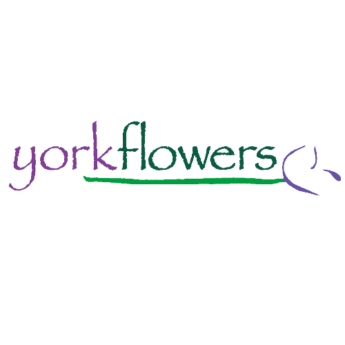 York Flowers Team 