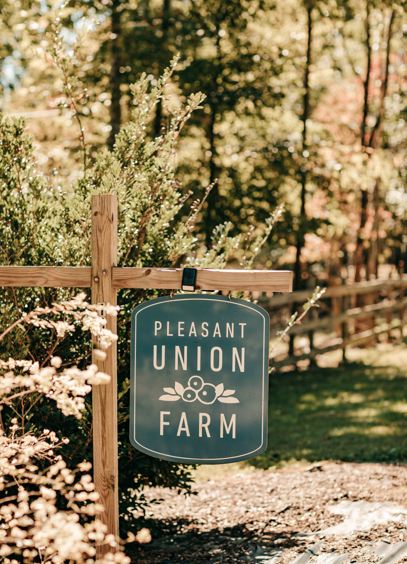 Pleasant Union Farm 