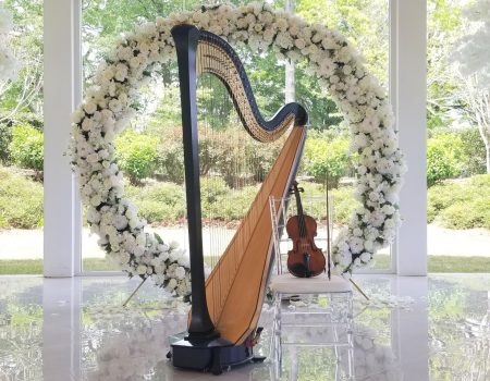 Tyler Hartley, Atlanta Harpist