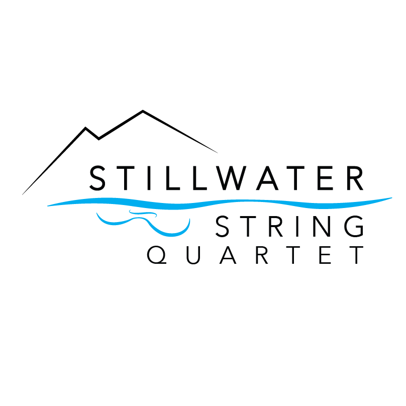 Stillwater String Quartet Team