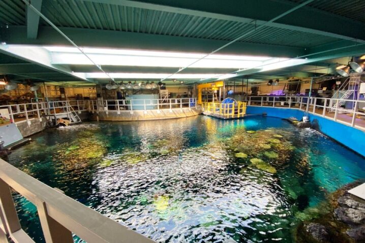 The Aquarium of Pacific