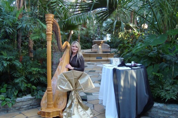Laurie Leigh Harpist