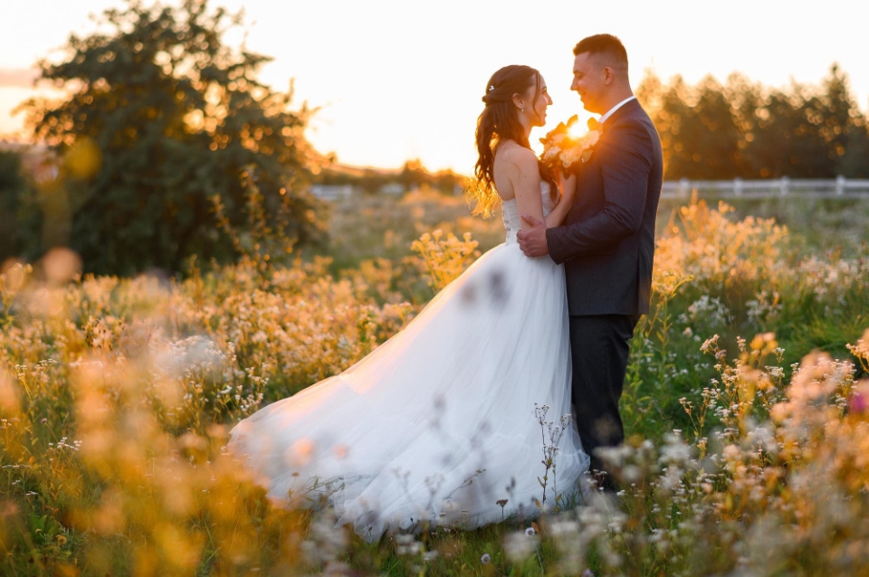 10 Best Small Wedding Venues in Tucson, AZ (2023)