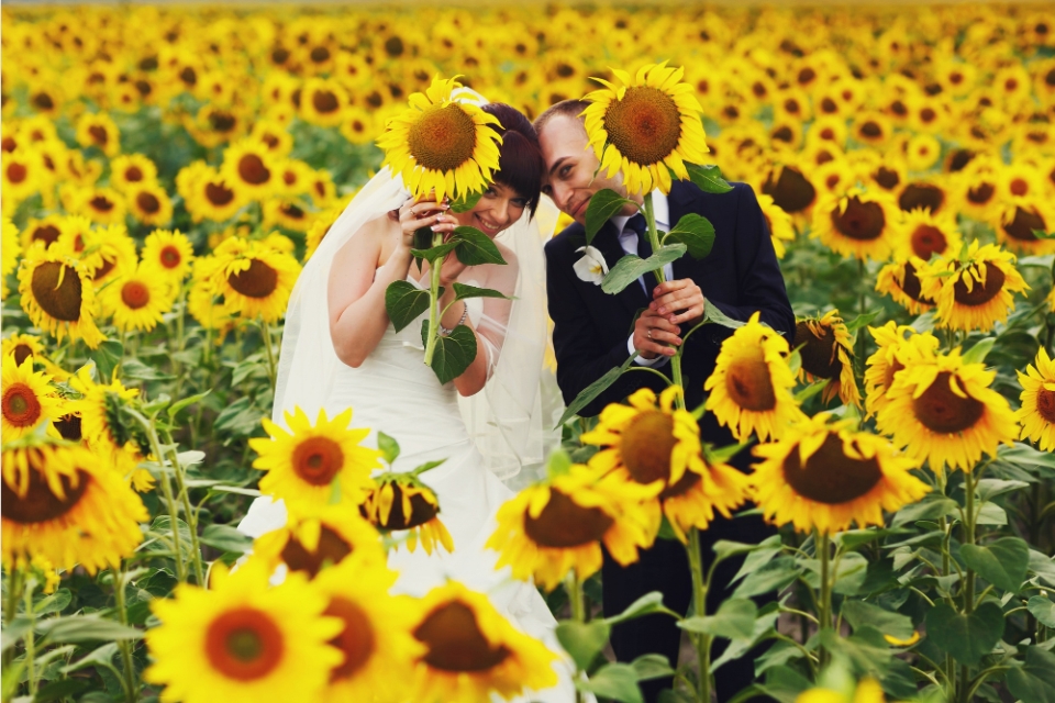 10 Most Popular Outdoor Wedding Venues in Mesa, AZ