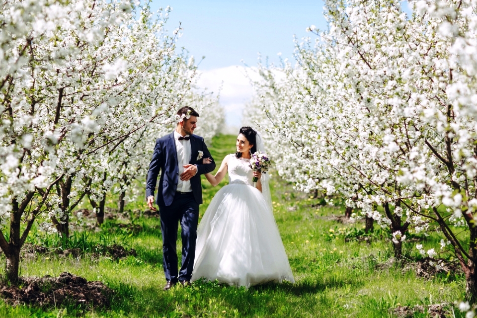 5 Best Wedding Photo Locations in Des Moines