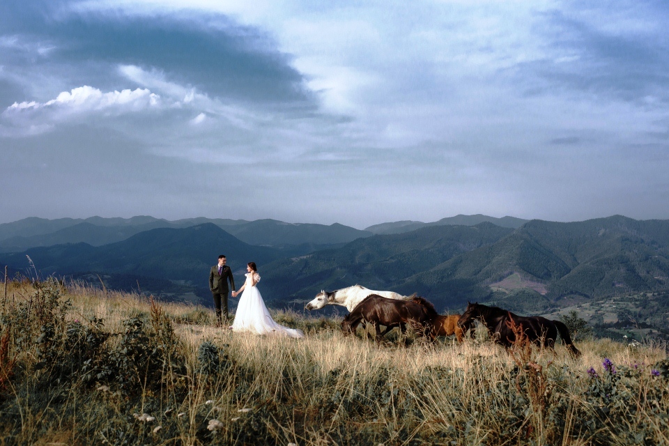wedding photography locations in colorado springs